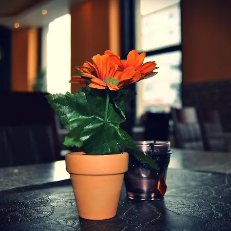 ホステル Koelnotel Hostel, & *