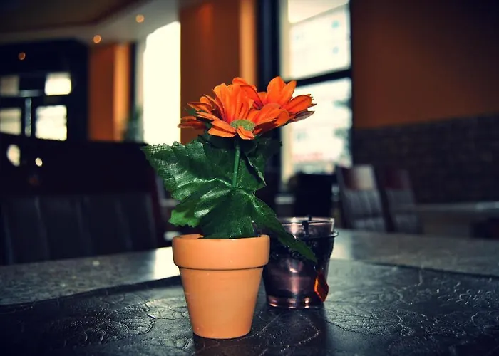 بيت شباب Koelnotel Hostel, & *